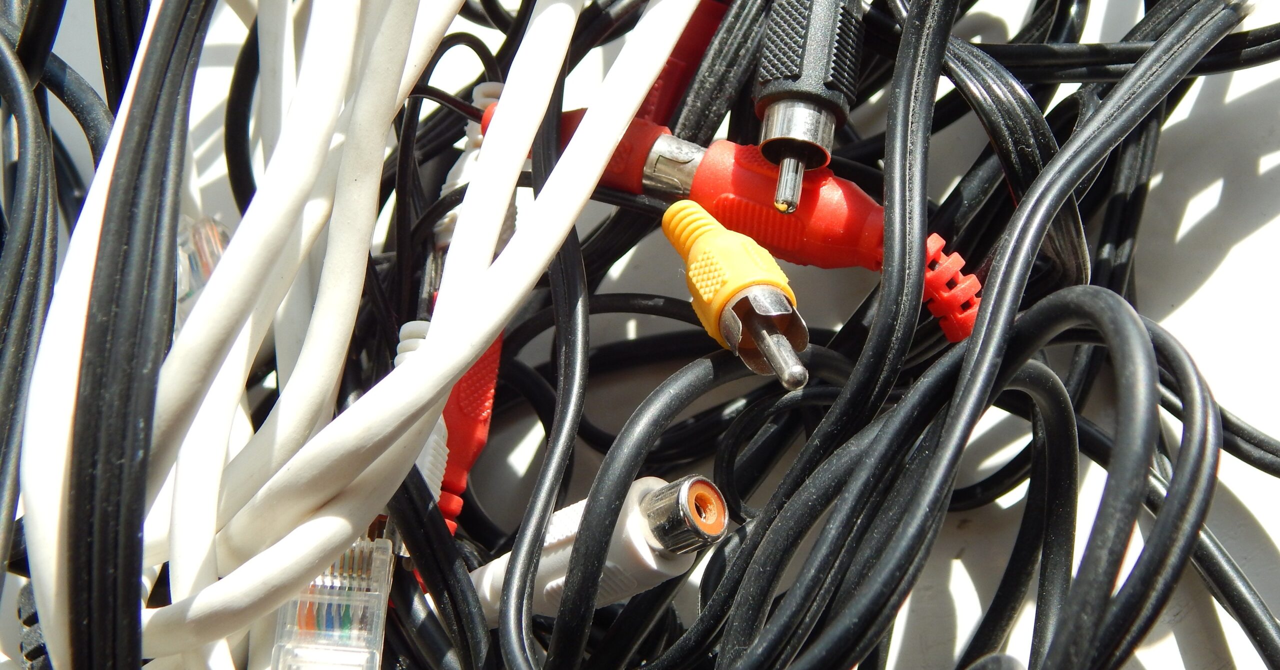 The Year of the RAT: Don’t let your IT turn into a RAT’s nest