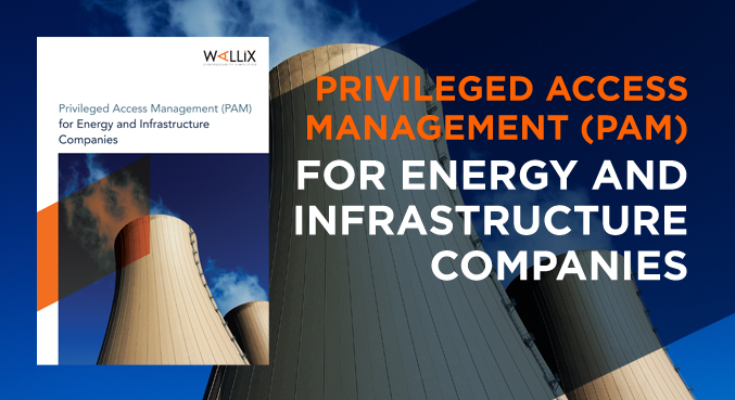 PAM for Energy: Business Case