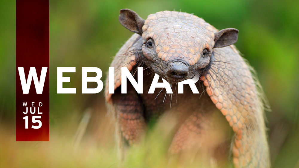 Webinar: Endpoint Protection Made Easy With Privilege Management