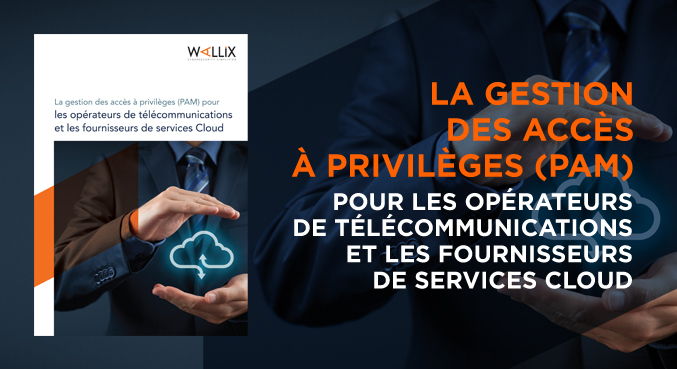 PAM for Telcos: Business Case