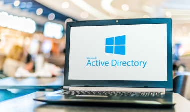 How does WALLIX Bastion secure the Active Directory?