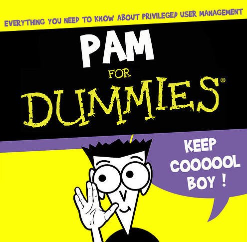 PAM Definition: PAM for Dummies