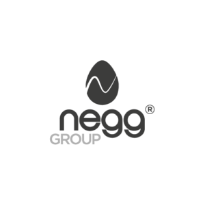 negg_group_logo